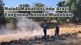 Naipli Mahallesi'nde Arazi Yangını