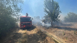 İvrindi’de Arazi Yangını