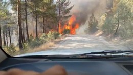 3 Mahallede Çıkan Orman Yangını Korkuttu