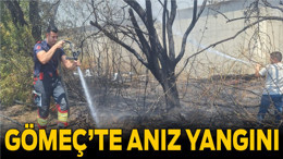 Gömeç’te Anız Yangını Korkuttu