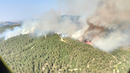 Balıkesir Savaştepe ve Altıeylül'de çıkan orman yangınına müdahale ediliyor