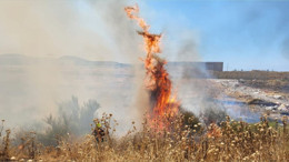 Burhaniye Karınca Deresi Mevkiinde Alevler Yükseldi