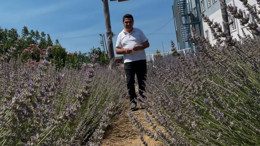 Balıkesir'de Müdür Acar Dönemi: 150 Ceviz, 300 Lavanta ve Tarım Atölyesiyle Öğrencilere Kalıcı Miras