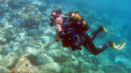 Dalış meraklılarını Saros Körfezi'ne çeken Su Altı Tarih Müzesi'ne "zırhlı katkı"