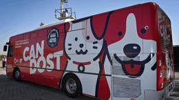 Sokaktaki Canlar “Can Dost”la Emin Ellerde