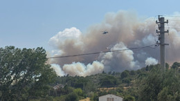 Çanakkale'de orman yangını çıktı