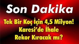 Tek Bir Koç İçin 4,5 Milyon! Karesi’de İhale Rekor Kıracak mı?