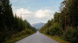 Balıkesir'in Esrarengiz Orman Yolları