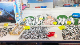 Balıkesir'de Sofralara Omega 3 Geri Döndü