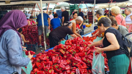Akçay'da Salçalık Domates ve Kapya Biberler Kapışıldı