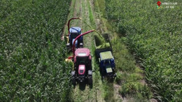 Balıkesir'de Ardıçtepe Barajı Çiftçiyi Sevindirdi
