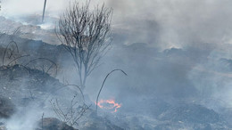 Bandırma-Susurluk Karayolunda Yangın