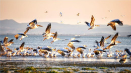 Kartpostallık Görüntüler Balıkesir’den