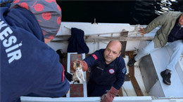 Balıkesir'de Denize Düşen Yavru Kedi Kurtarıldı