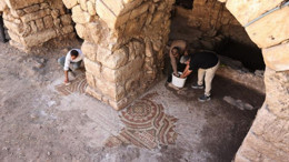 Tittos Domestikos ne demek, Tittos Domestikos nedir?