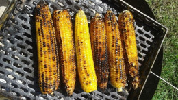 Balıkesir’de Közlenmiş Mısırın Keyfi Bir Başka