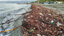 Balıkesir Edremit'te Lodos Sahile Yosun Taşıdı