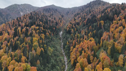 Rize'de Ayder Yaylası'nda sonbahar renkleri
