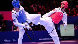 Dünya Tekvando Şampiyonası