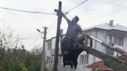 Köpeklerden kaçtı, direkte mahsur kaldı