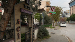 Balıkesir’de 7/24 Açık Veteriner Kliniği