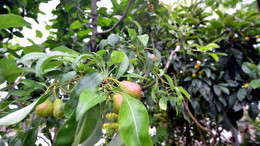 “Karşılaşmanın Meyveleri” İstanbul’da Ziyarete Açılıyor