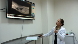 Dünya Çapında Nadir! BAÜN’ün Tekniği Kediyi Kurtardı