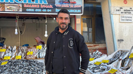 Balıkesir'de 2025 Kasım Ayında Balık Bolluğu