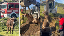 Sındırgı’da Kuyuya Düşen İnek İş Makinesiyle Kurtarıldı