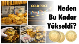 Altın Neden Bu Kadar Yükseldi?