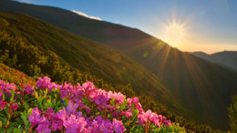 İlk Cemre Düşüyor: Balıkesir’de Hava Ne Zaman Isınacak?