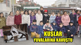 Kuşlar yuvalarına kavuştu