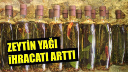 Zeytin Yağı İhracatı Arttı