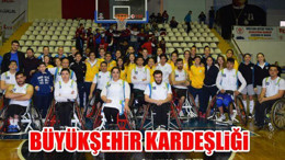 Büyükşehir Kardeşliği