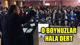 O Boynuzlar Hala Dert