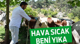 HAVA SICAK BENİ YIKA