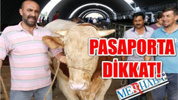 PASAPORTA DİKKAT!
