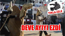 DEVE AYIYI EZDİ…