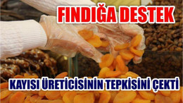 Fındığa Destek Kayısı Üreticisinin Tepkisini Çekti