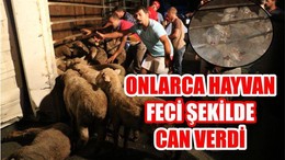 KURTARMAK İÇİN SEFERBER OLDULAR