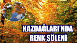 Kazdağları'nda Kırmızı ve Sarının Görsel Şöleni