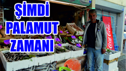 Şimdi Palamut Zamanı