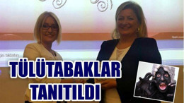 TÜLÜTABAKLAR TANITILDI