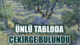 Van Gogh'un Tablolarından Birinde Çekirge Bulundu