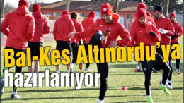 Bal-Kes Altınordu’ya hazırlanıyor