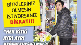 BİTKİLERİNİZ ÖLMESİN İSTİYORSANIZ DİKKAT!