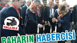 BAHARIN HABERCİSİ