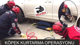 ZORDAKİ KÖPEĞİ KURTARDILAR