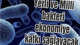 Yerli ve millî bakteri ekonomiye katkı sağlayacak
