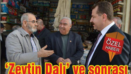 ‘ZEYTİN DALI’ VE SONRASI
